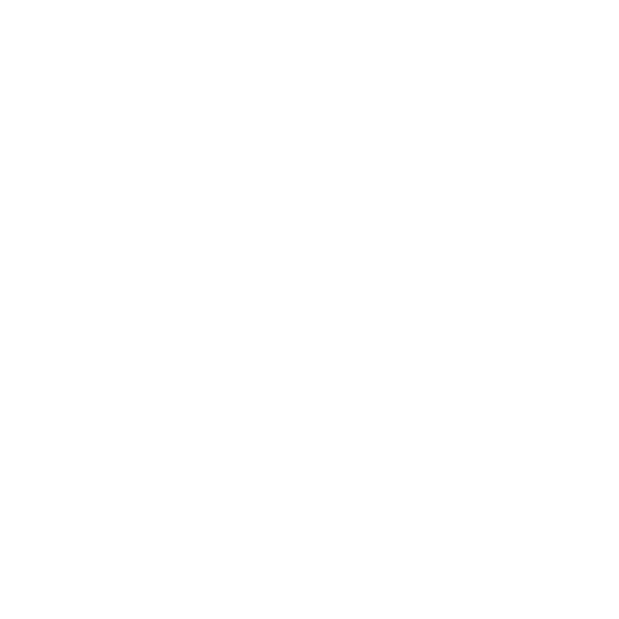 Logo-Sky-wit